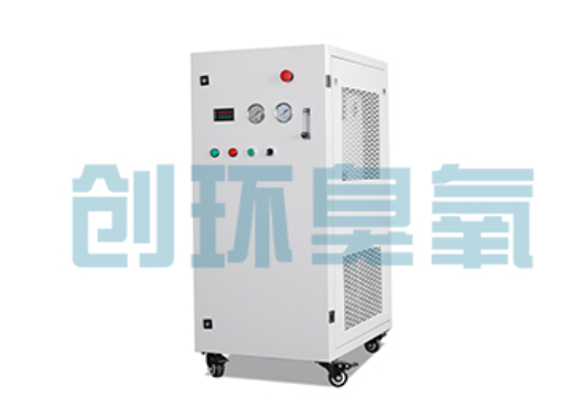 铁岭石斑鱼养殖水质调控完整指南:臭氧发生器配置与操作步骤