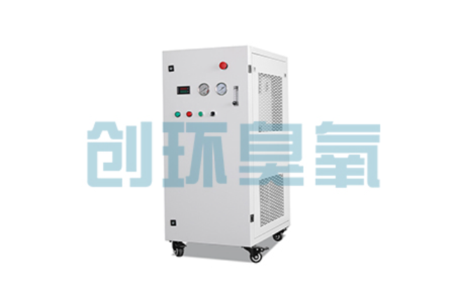 铁岭比传统换水更高效?臭氧发生器在石斑鱼养殖中的水质净化原理解析